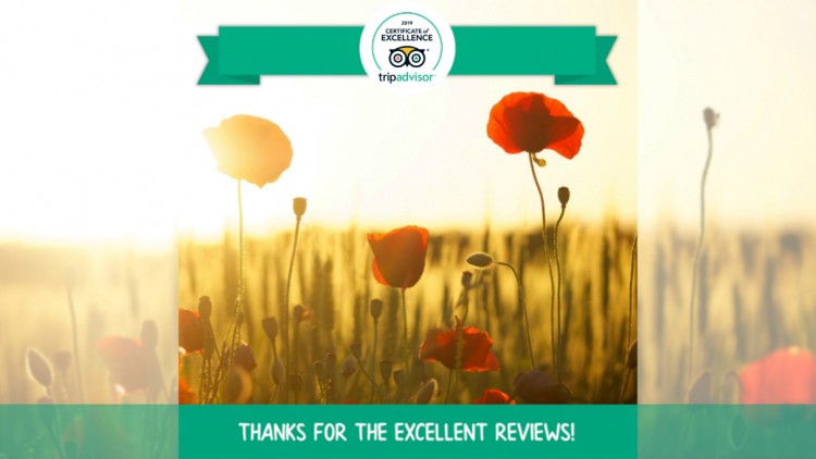 Artemilia awarded with the 2019 Certificate of Excellence by Tripadvisor!