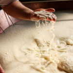 Parmigiano Reggiano cheese making