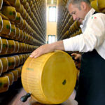 How to properly crack open a wheel of Parmigiano Reggiano cheese