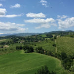 Parma Hillside Food Trail Torrechiara Vineyards