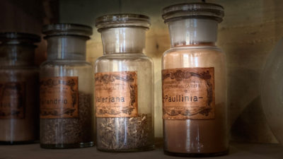 Paullinia Visita all'Antica Farmacia San Filippo Neri