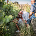 Piacenza Organic Wine Tasting and Lunch among Medieval Hamlets